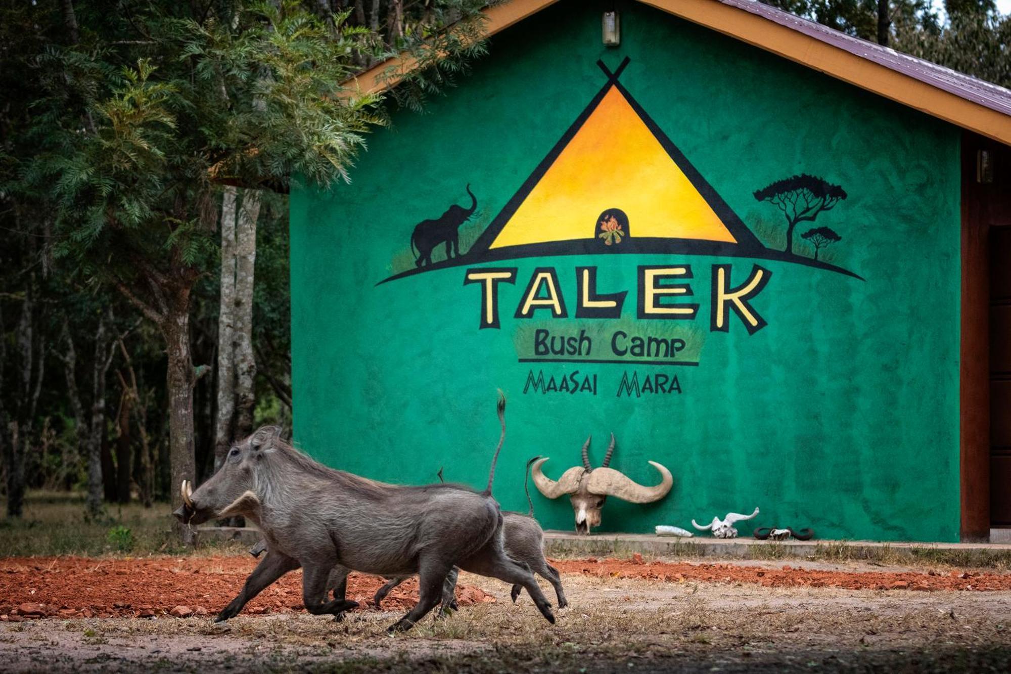 Hotel Talek Bush Camp , Masai Mara Exterior foto